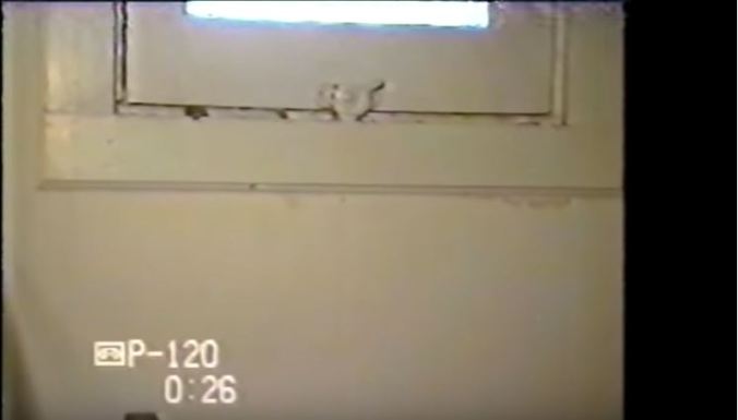 basement-bathroom-window-2