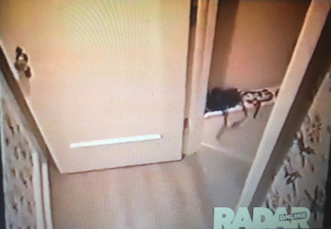 file-dec-23-1-02-27-am