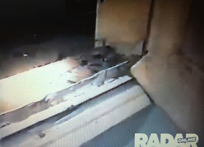 file-dec-23-1-13-05-am