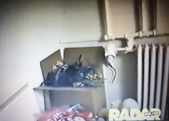 file-dec-23-1-13-22-am