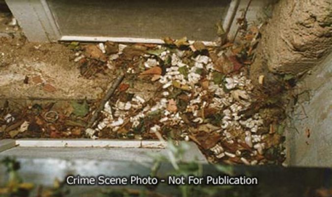 outside basement window 3