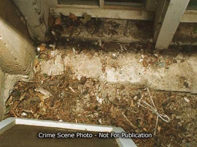 outside basement window 4