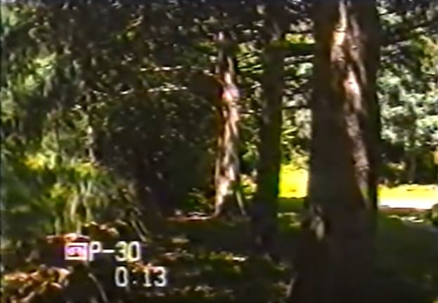 ramsey-back-yard-west-side