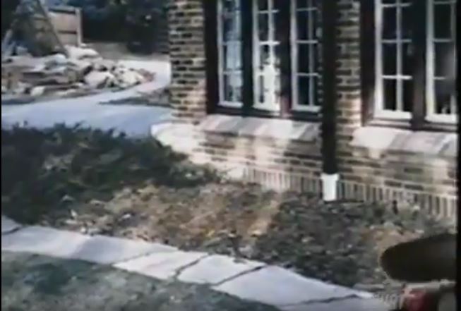 swingset-in-back-yard