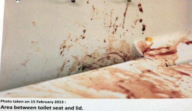 inside toilet lid with broken hair