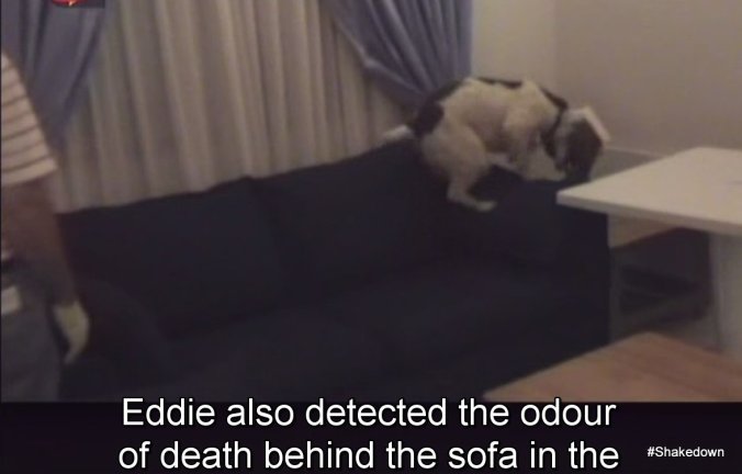 1-Fullscreen capture 20170401 015217 PM