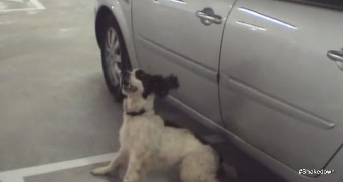 1-Fullscreen capture 20170401 015349 PM