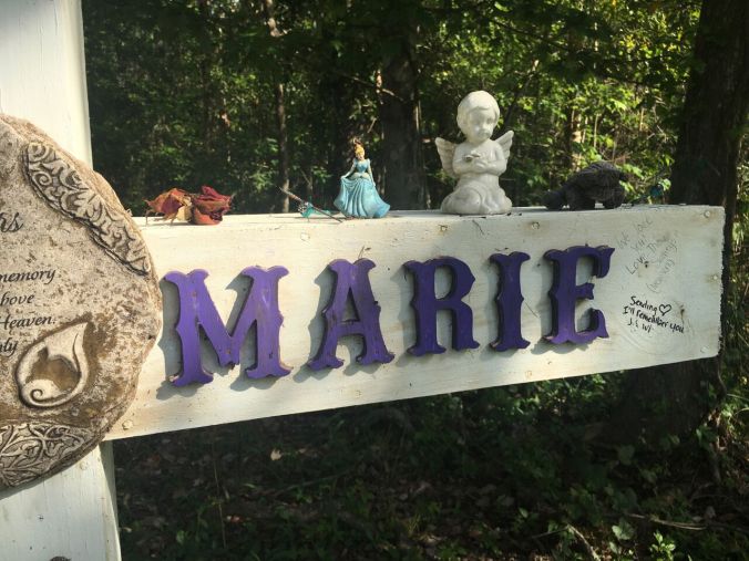 2017-03-26 16.50.05_preview