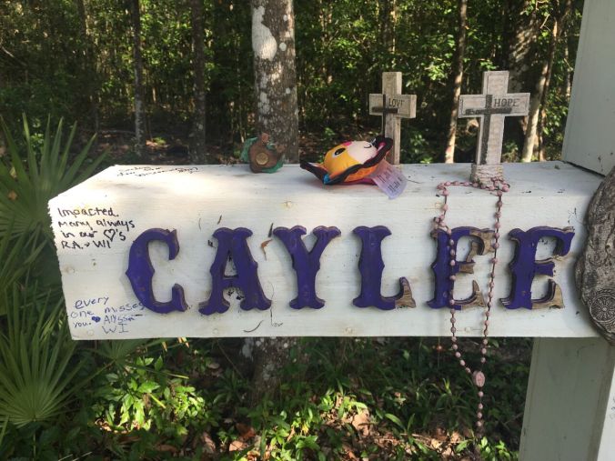 2017-03-26 16.50.10_preview