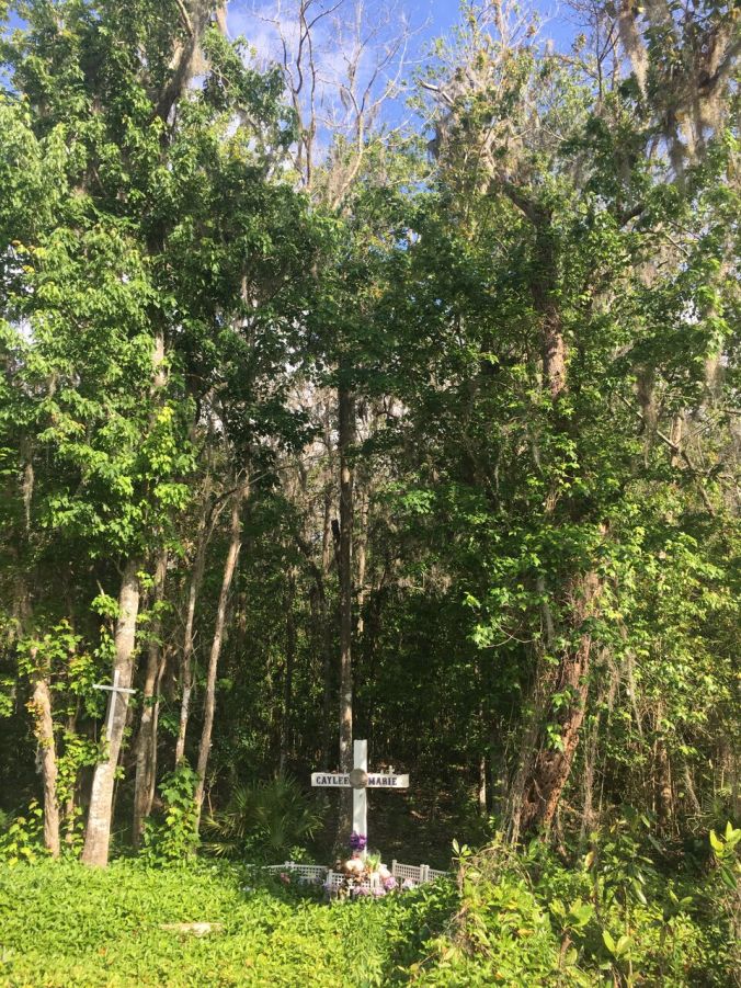 2017-03-26 16.52.42_preview