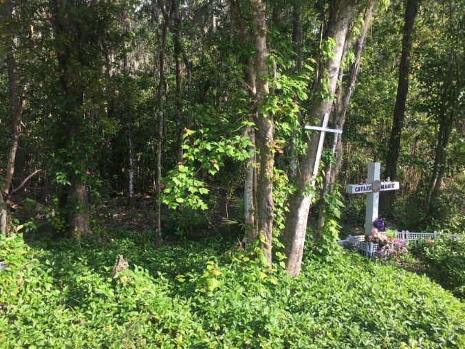 2017-03-26 16.55.34_preview