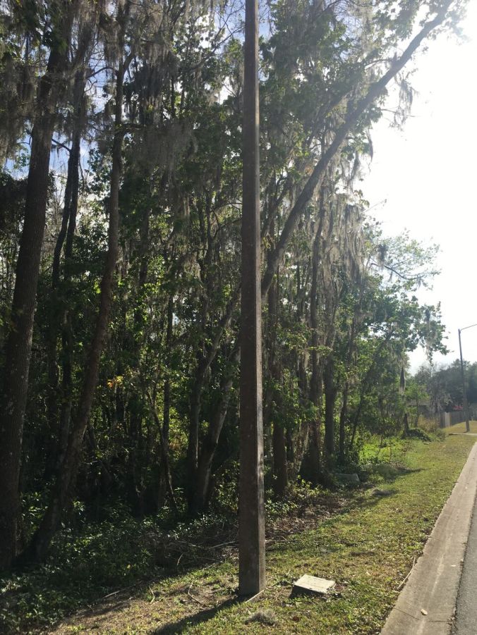 2017-03-26 17.01.04_preview