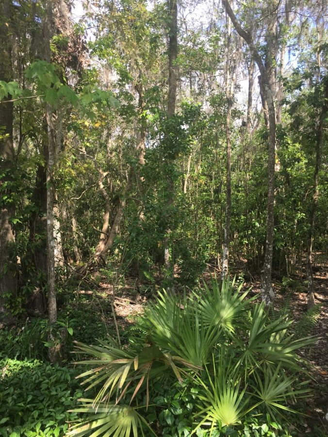 2017-03-28 16.18.26_preview