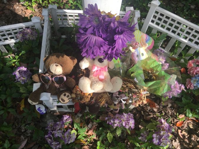 2017-03-28 16.19.13_preview