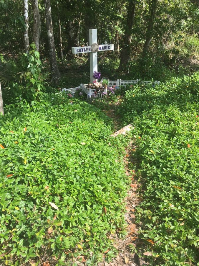 2017-03-28 16.19.56_preview