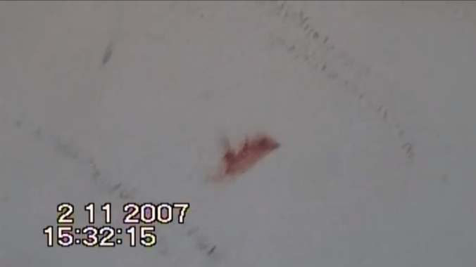 2017-08-12 20.27.37-11