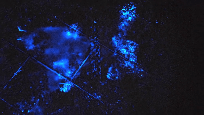 2017-08-12 20.31.18-42