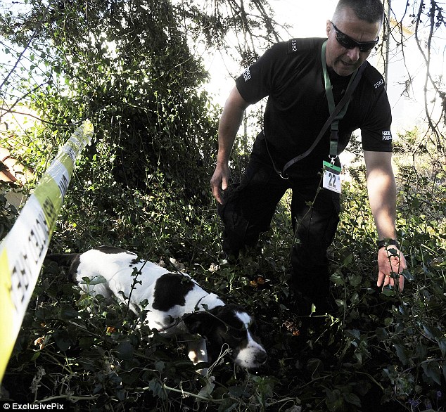 article-2647004-1E6DC42B00000578-350_634x586