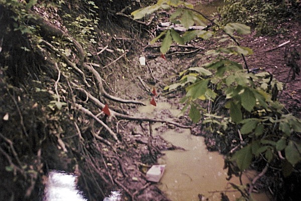 ditch-location-of-bodies2-small