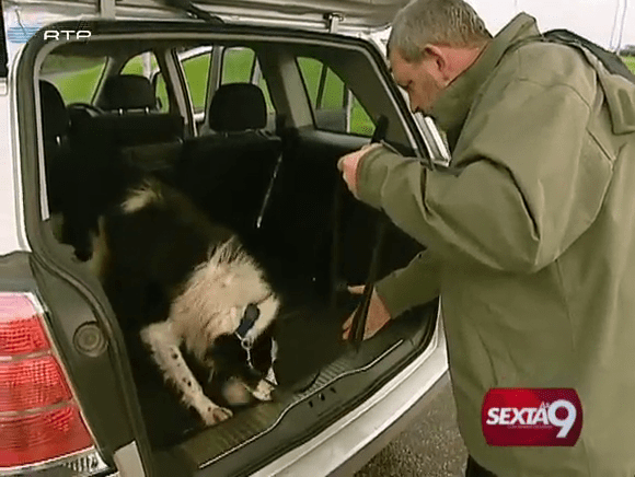 vlcsnap-2014-06-07-06h28m24s14