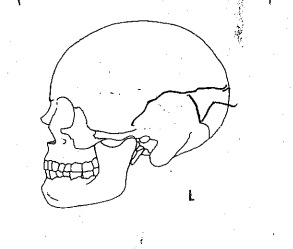 Fullscreen capture 20180615 230852