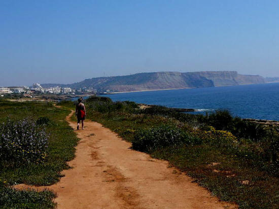 2209599330_3ed9516085_o_small