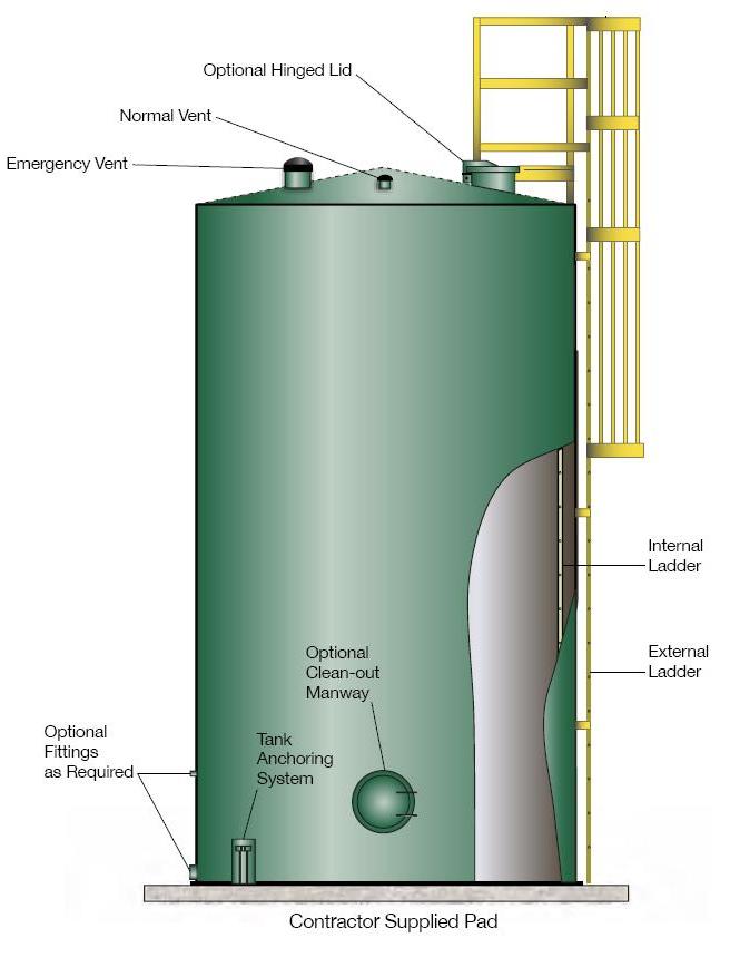 AST Ladder Illustration Side View