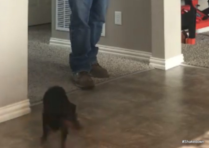 Fullscreen capture 20180910 175315